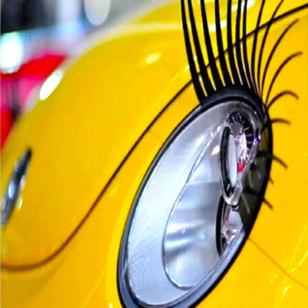 Car Lashes - Picture 4 of 11